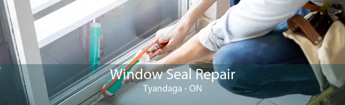 Window Seal Repair Tyandaga - ON