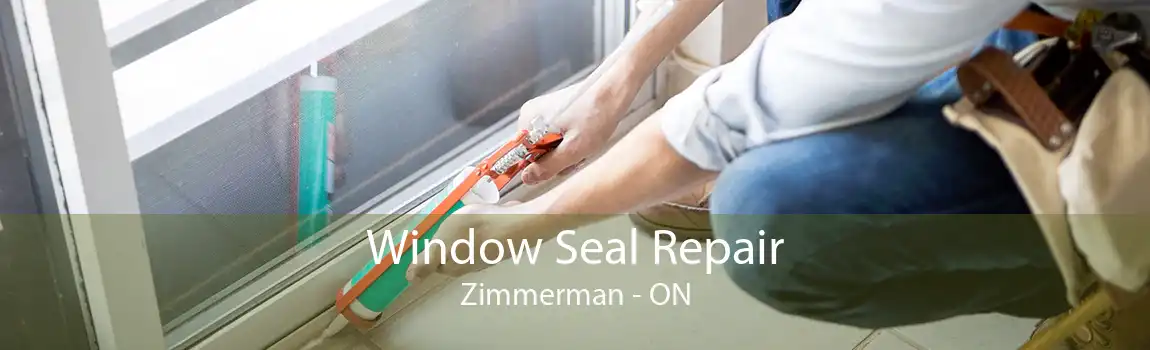 Window Seal Repair Zimmerman - ON